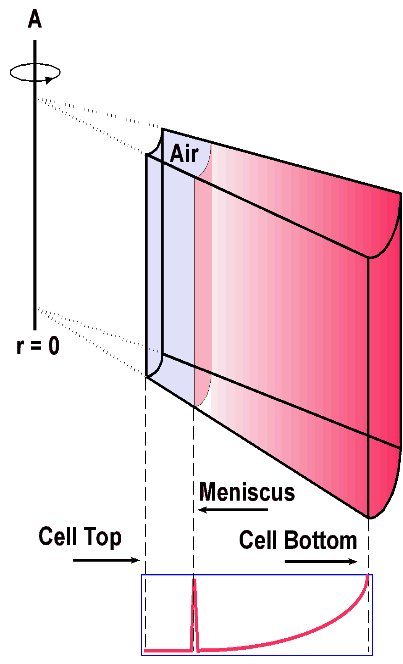 A diagram of a sedimentation equilibrium experiment